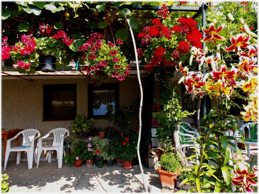 Zura Apartments Ohrid Ngoại thất bức ảnh