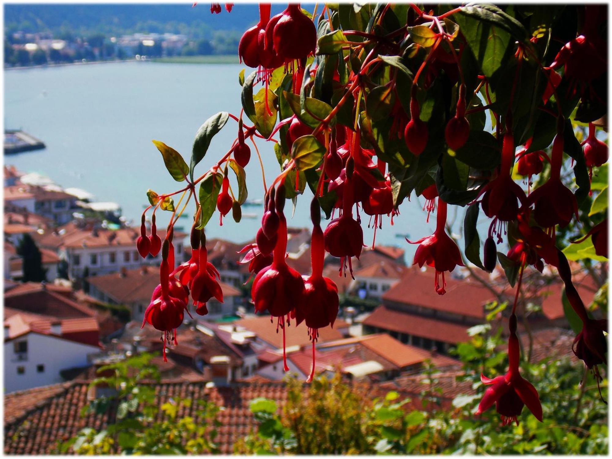 Zura Apartments Ohrid Ngoại thất bức ảnh