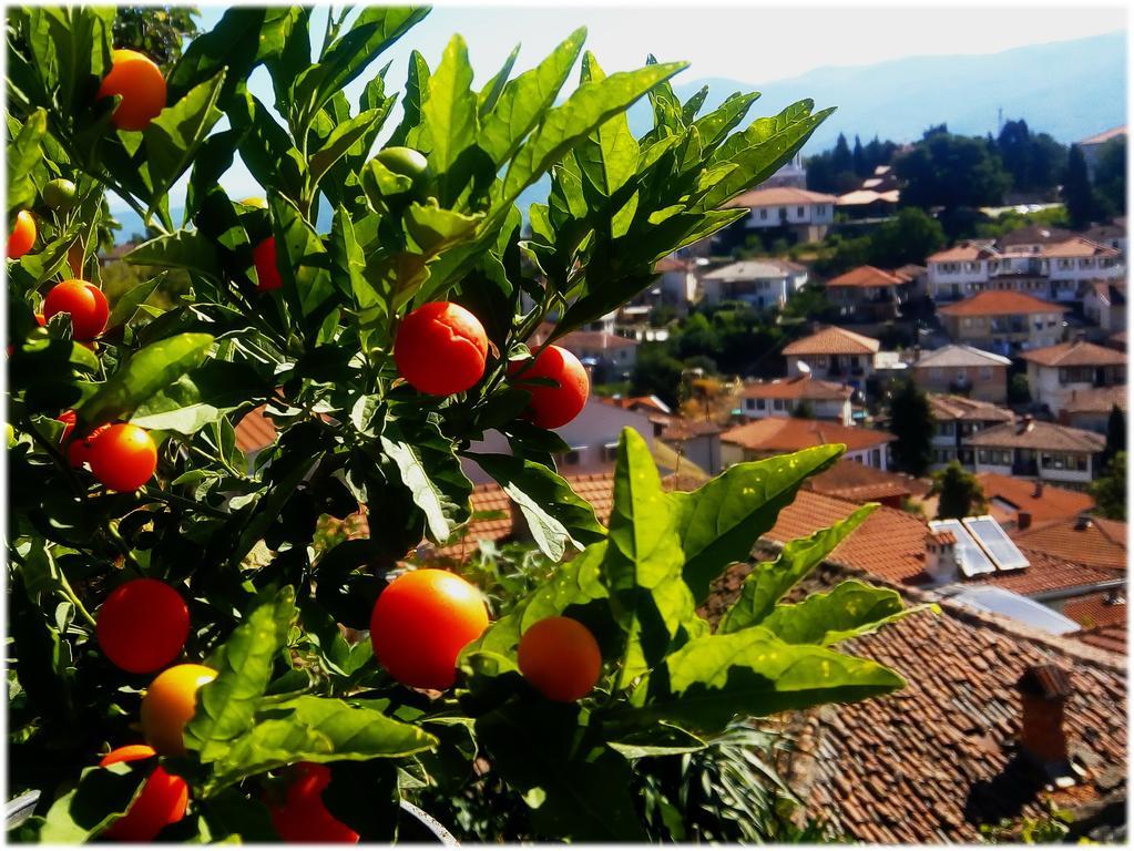 Zura Apartments Ohrid Ngoại thất bức ảnh
